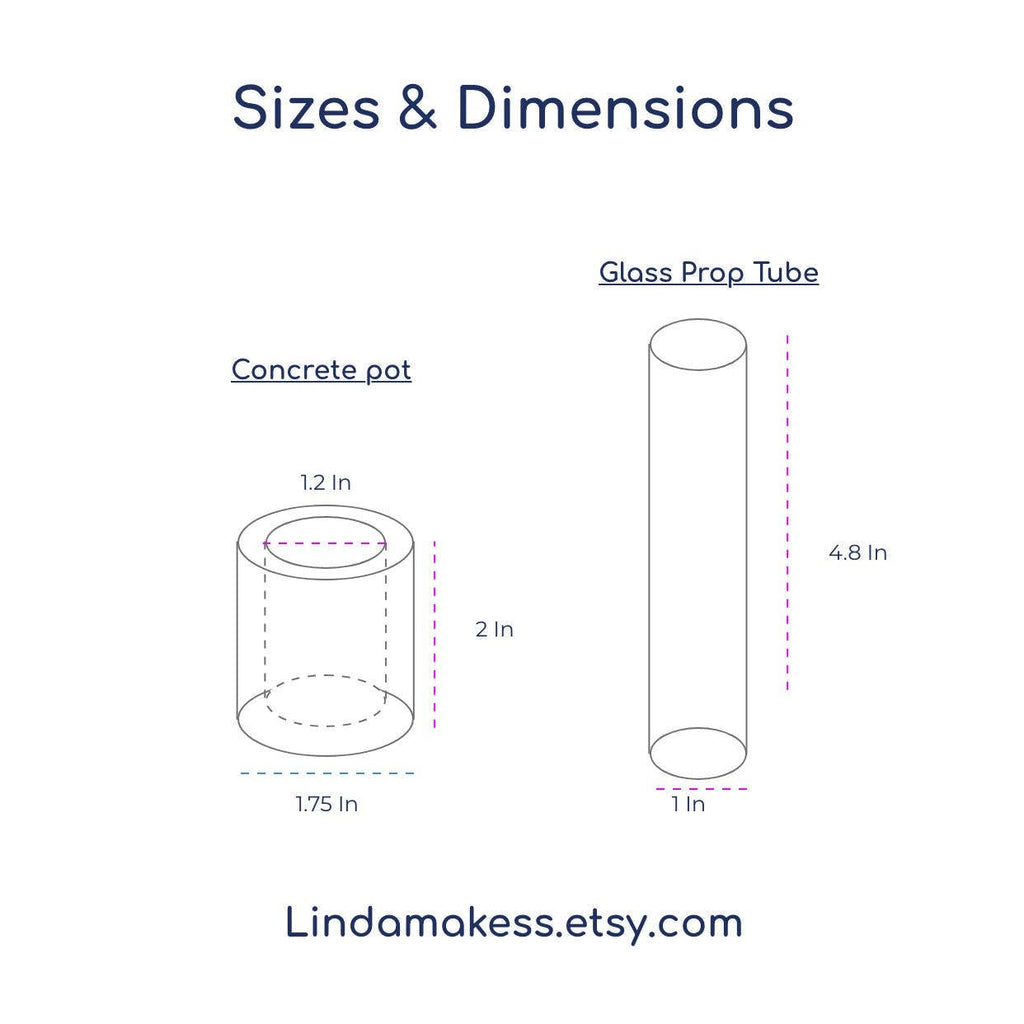 Single Concrete Plant Propagation Test tube Stand