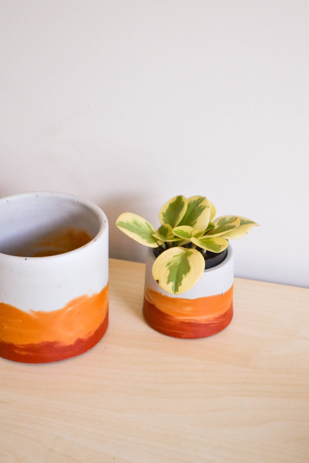 Sunset Planter - Featured in Only Murders in the Building