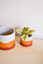 Sunset Planter - Featured in Only Murders in the Building