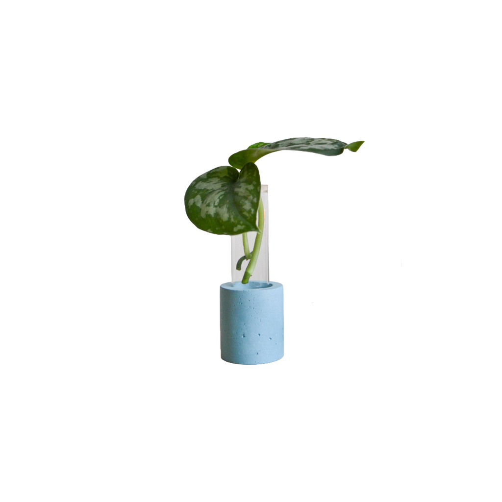 Single Concrete Plant Propagation Test tube Stand