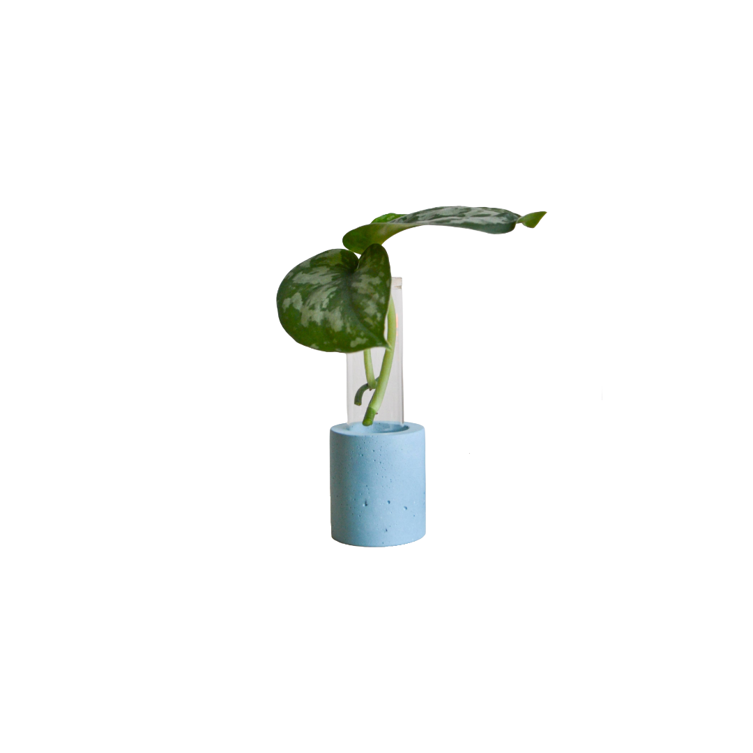 Single Concrete Plant Propagation Test tube Stand