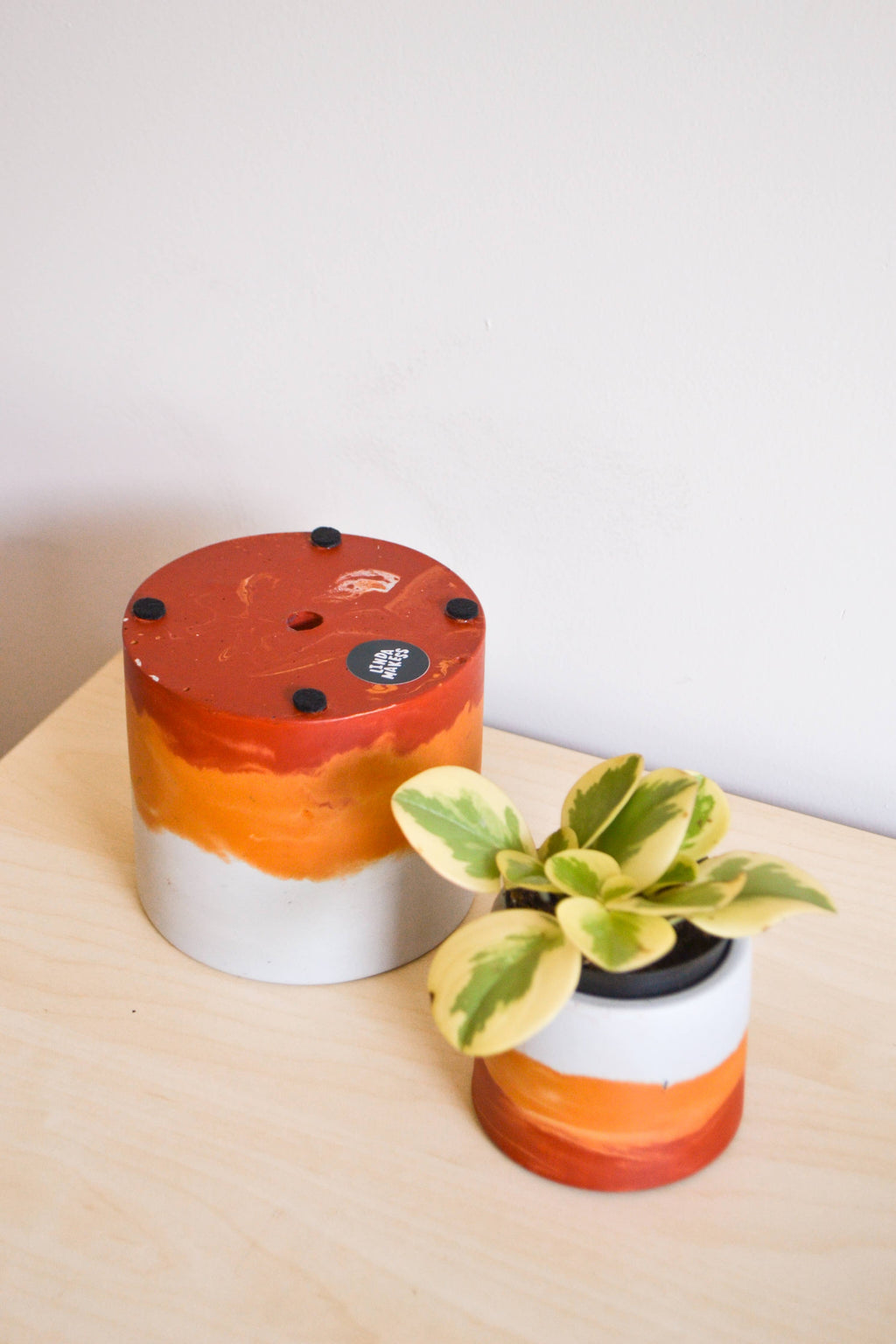 Sunset Planter - Featured in Only Murders in the Building