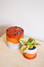 Sunset Planter - Featured in Only Murders in the Building